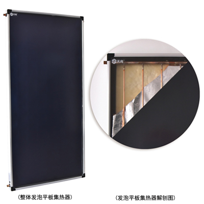 Integral foam flat panel solar collector